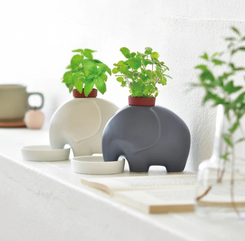 Elephant Self Watering Planter + Plant (White)