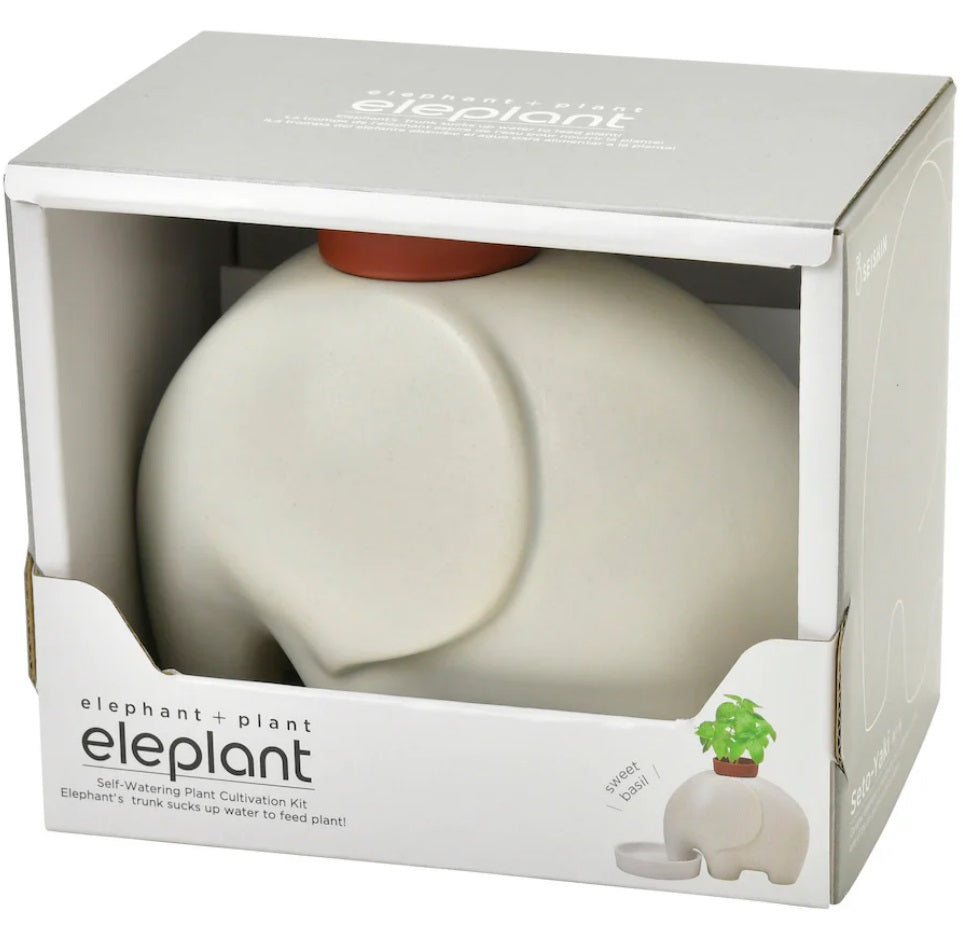 Elephant Self Watering Planter + Plant (White)